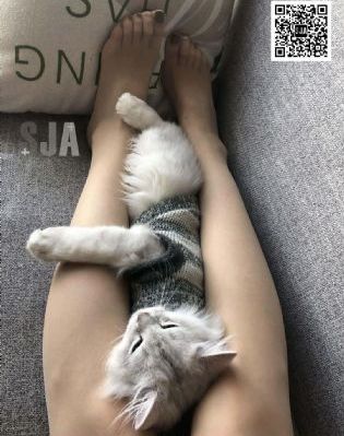 国产赛车动画片_国产剧电影完整版